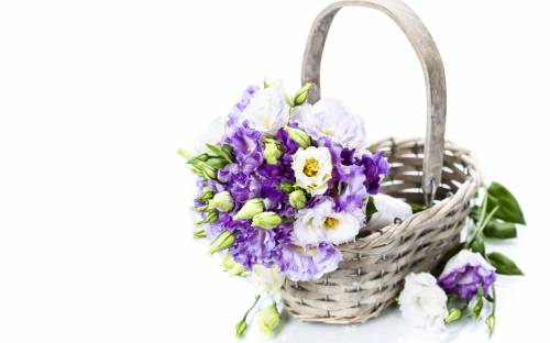 Фиолетовые цветы в корзине - Цветы