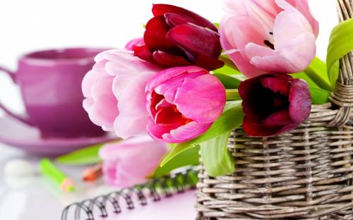Корзинка с тюльпанами - Цветы