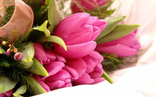 Букет розовых тюльпанов - Цветы