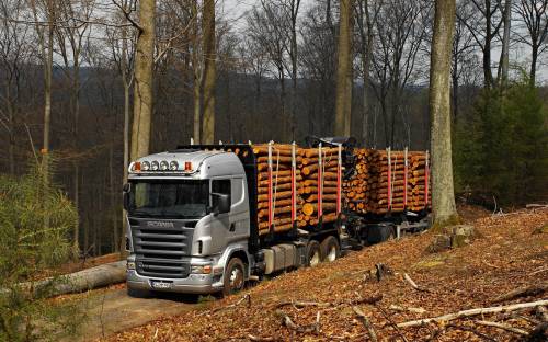 Фото лесовоза Scania - Автомобили
