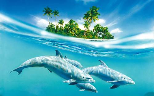 Стая дельфинов - Под водой