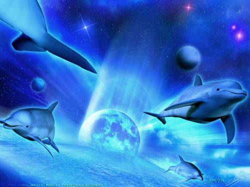 Синяя картинка с дельфинами - Под водой