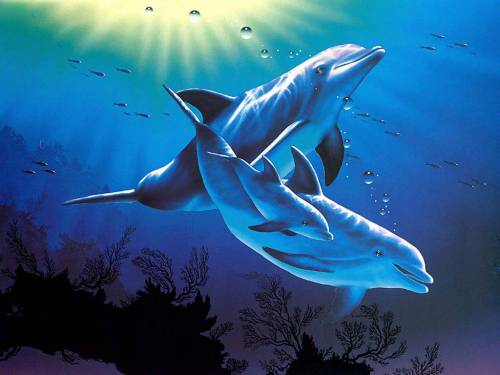 Картинка с дельфинами - Под водой