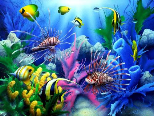 Картинка подводного мира - Под водой