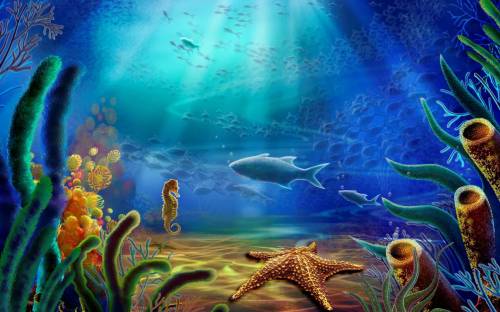 Картинка морской мир - Под водой