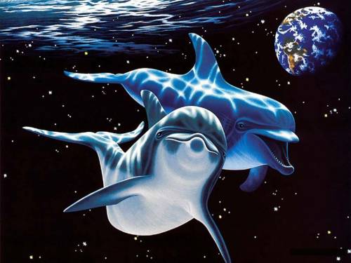 Дельфинчики - Под водой