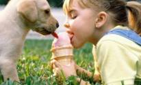 Девочка, мороженое, щенок