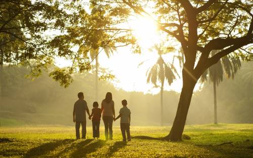 Семья, прогулка, солнечный свет - Позитивные