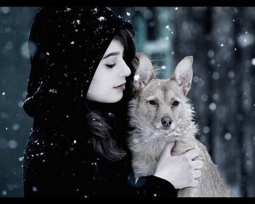 Зима, снег, пёс, девушка - Позитивные
