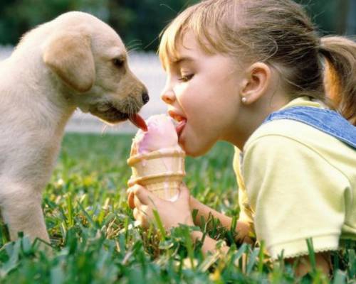 Девочка, мороженое, щенок - Позитивные