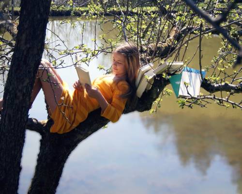 Девушка на дереве у реки - Позитивные