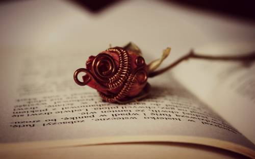Книга, цветок, роза - Разные