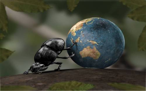 Планета и жук - Разные