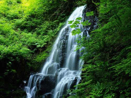 Очень красивое фото воды - Водопады